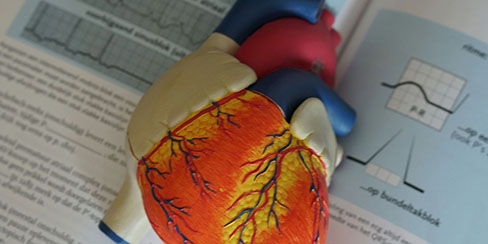 Medical Humanities