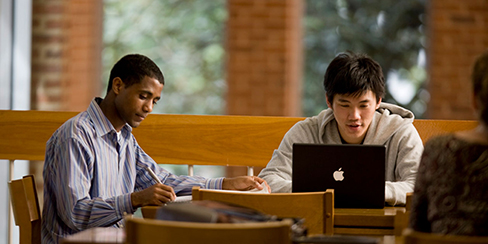Students studying in their laptops