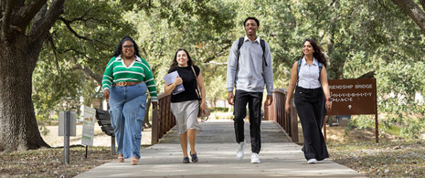 Four students walk together through the tree-lined HCU campus, smiling with books and backpacks visible, fostering community.