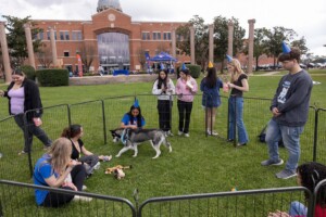 Students gather by a fenced area with dogs on HCU campus lawn, large brick building behind them; some wear party hats.