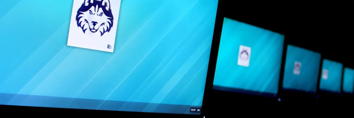 HCU Husky logo on laptop screens.