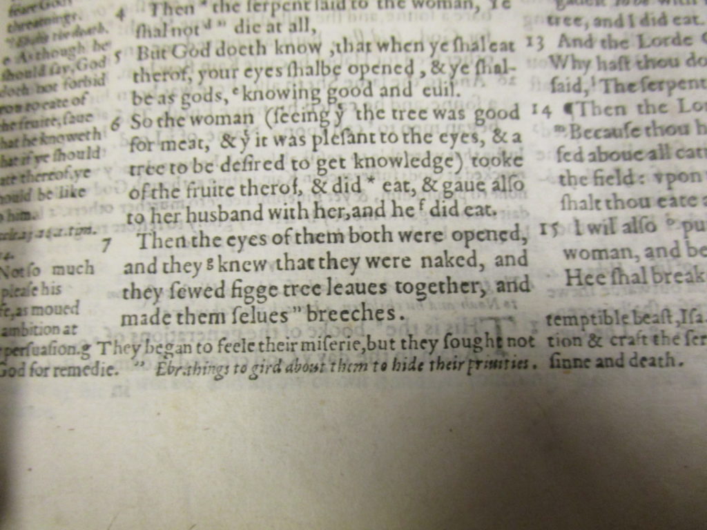 the Breeches Bible