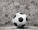 HCU Men’s Soccer Climbs to OVC Final in Impressive Turnaround