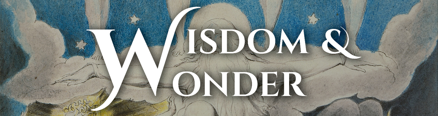 Robed figure with outstretched arms and stars, promoting HCU Apologetics: Wisdom & Wonder in bold white text.