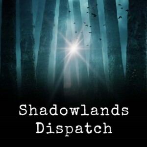 https://shadowlandsdispatch.substack.com/ Sunlight streams through tall dark trees in a misty forest; text reads HCU Apologetics Dispatch.