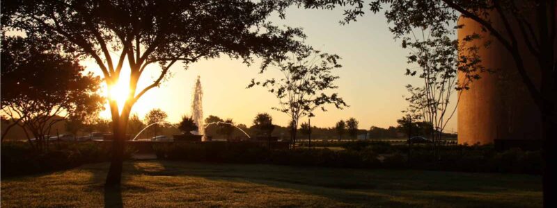 A Message from Student Life: June 2, 2020