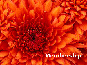 Link to Membership